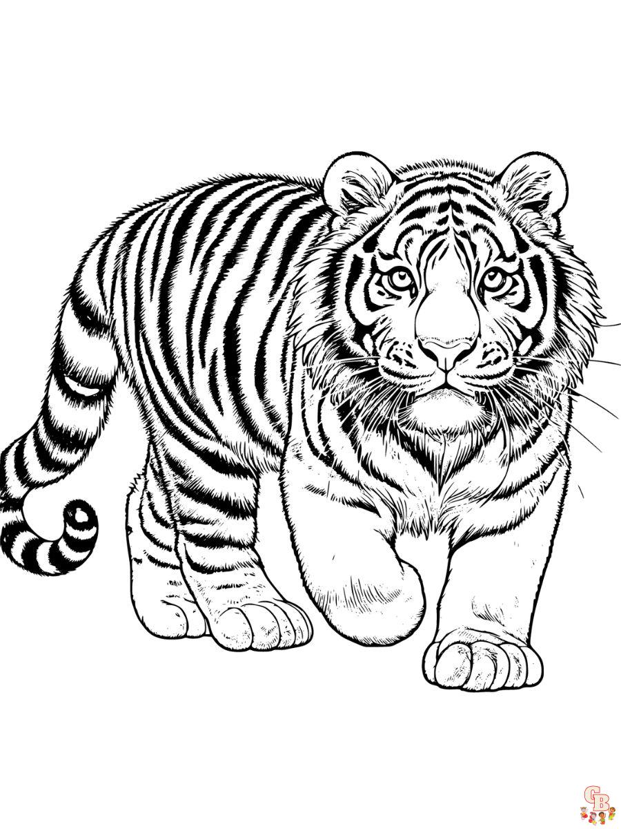 realistic tiger coloring pages free