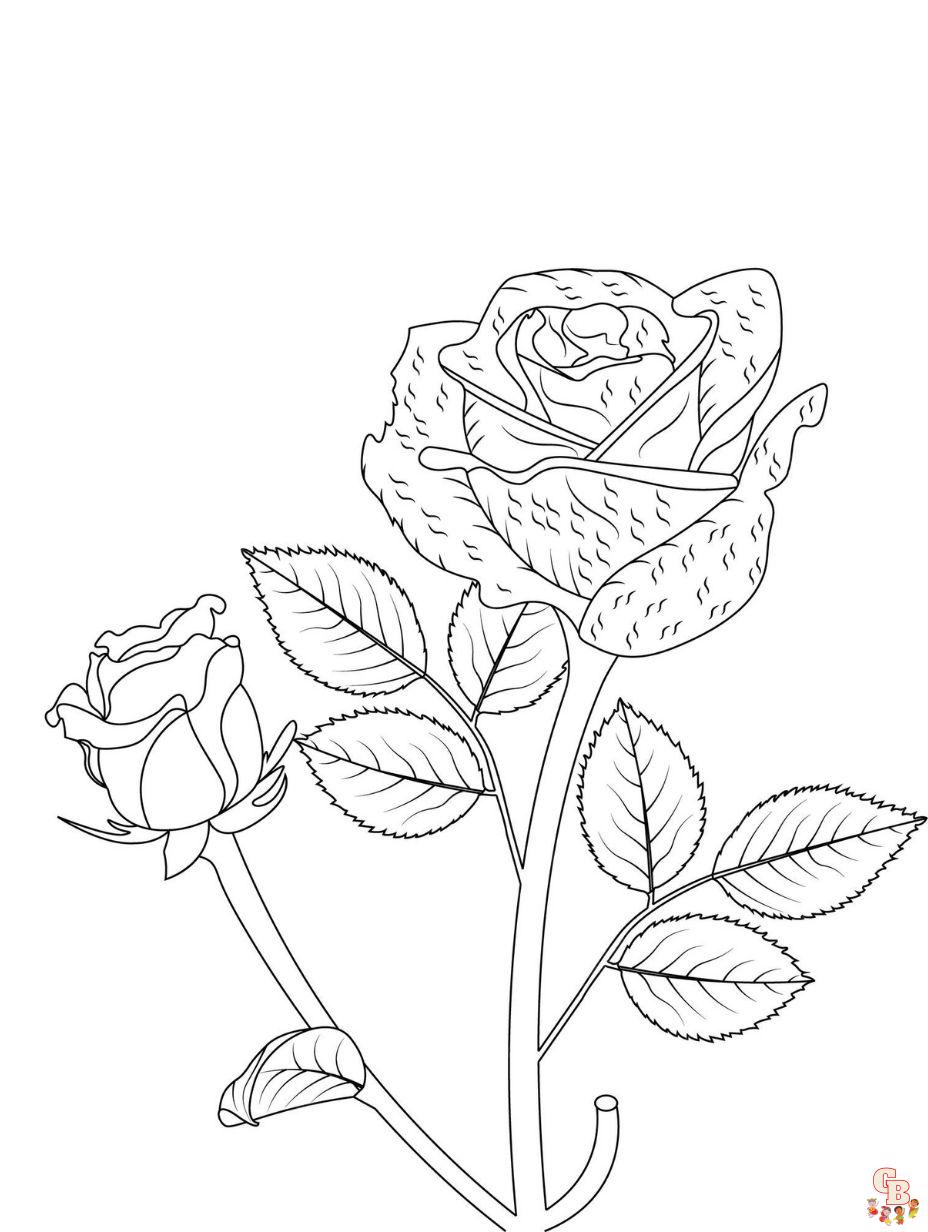 rose flower coloring pages