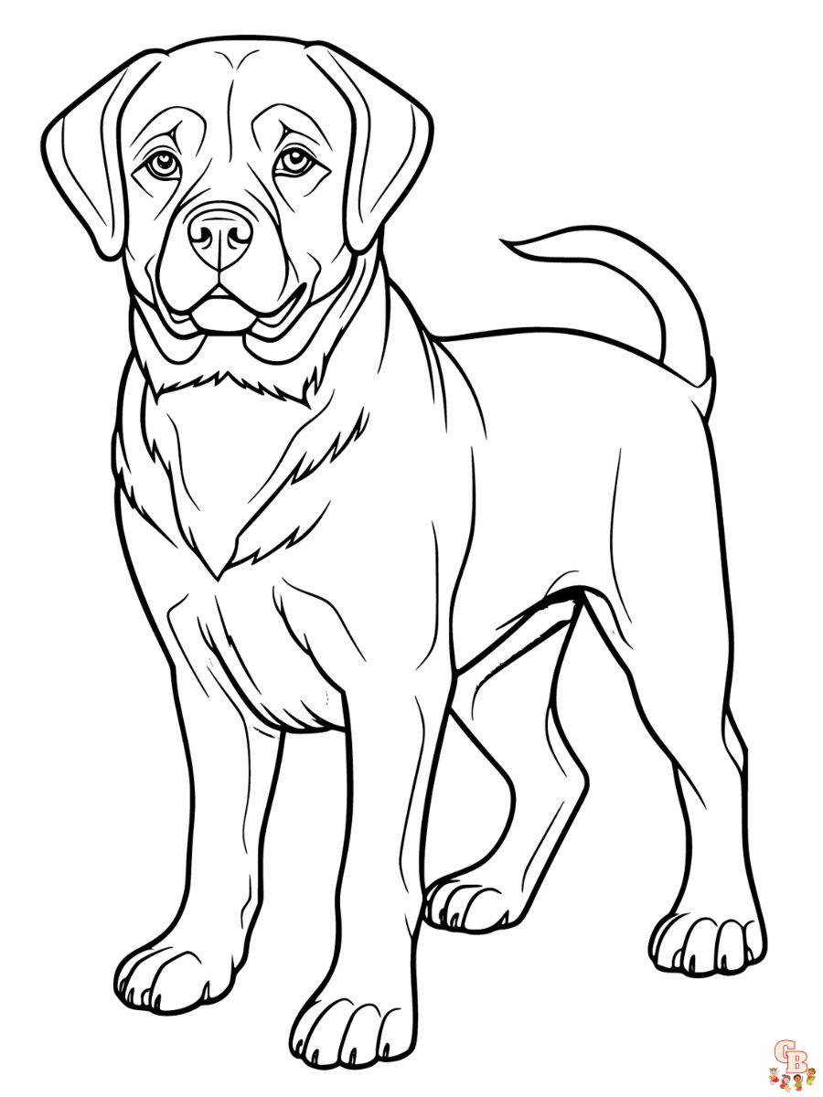 rottweiler coloring page free