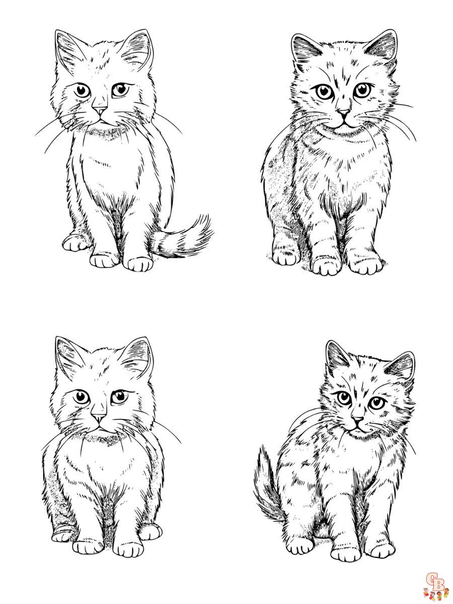 types of cats coloring pages free