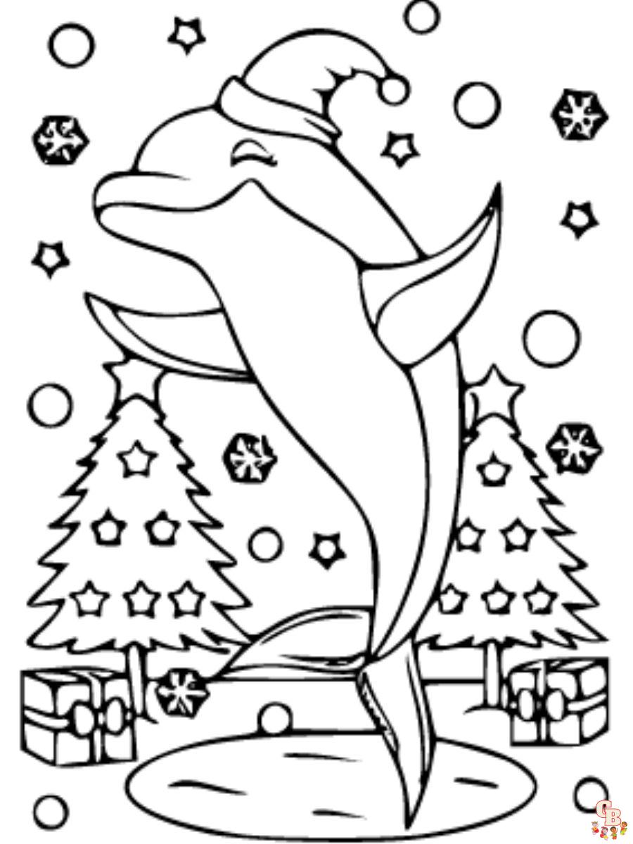 winter the dolphin coloring page