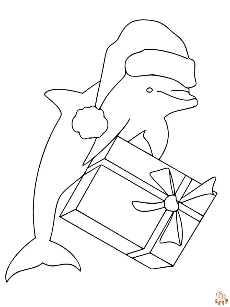 winter the dolphin coloring pages