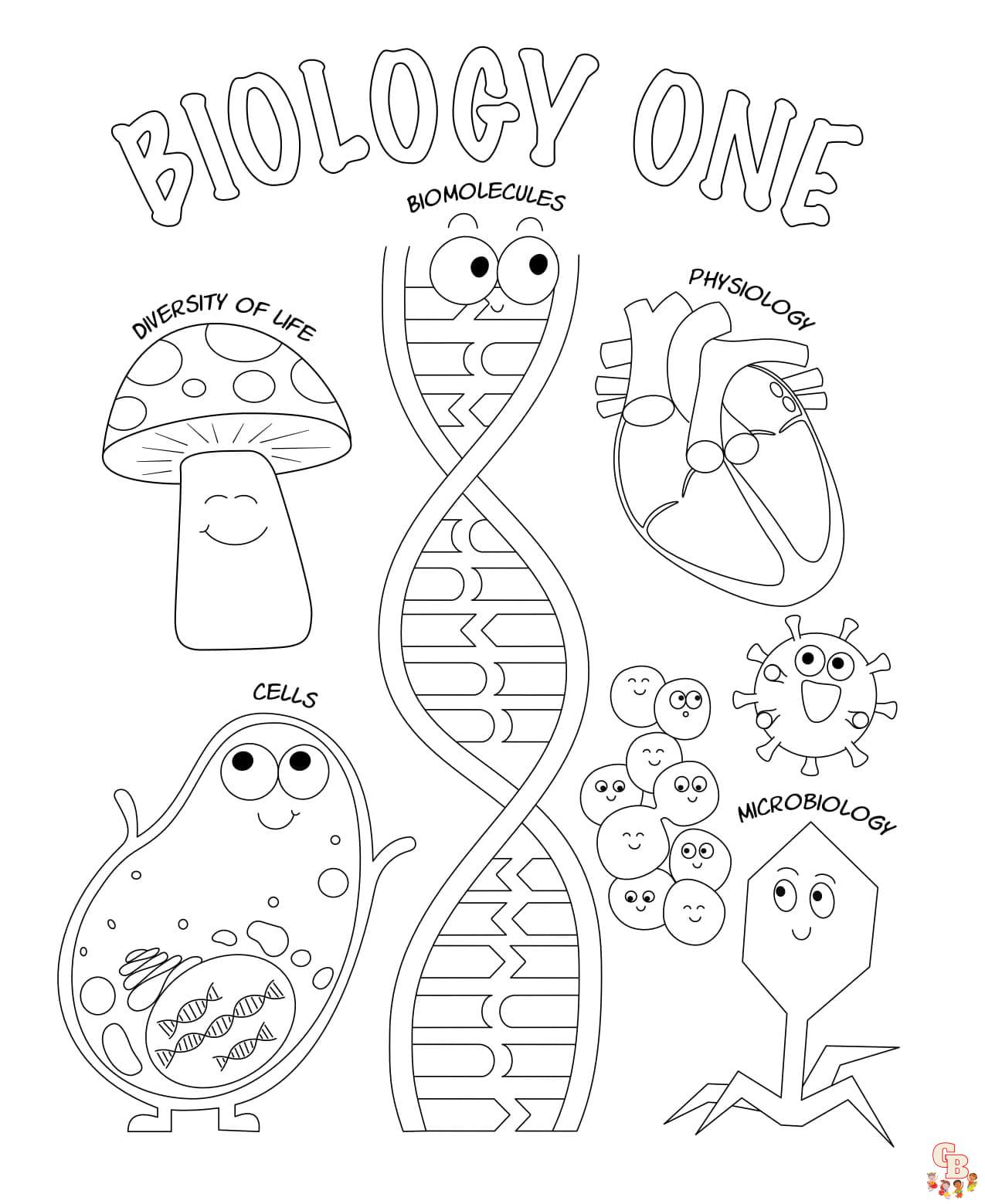 Biology Coloring Sheets