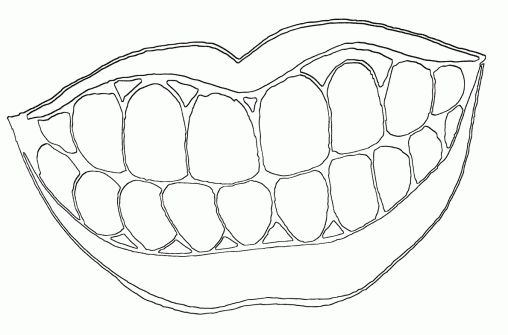 Printable Mouth Coloring Pages Free For Kids And Adults