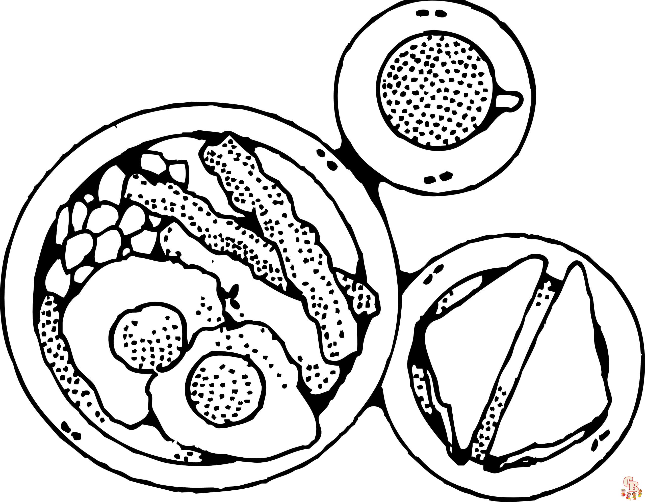 Printable Breakfast coloring sheets