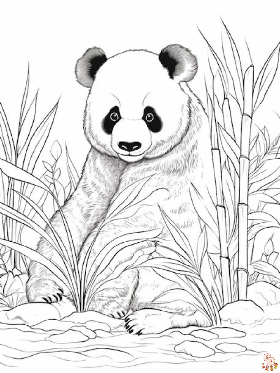 Realistic Panda Coloring Page