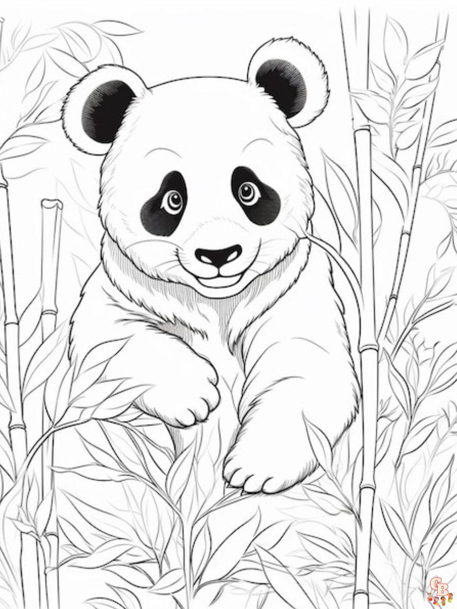 Realistic Panda Coloring Pages Free