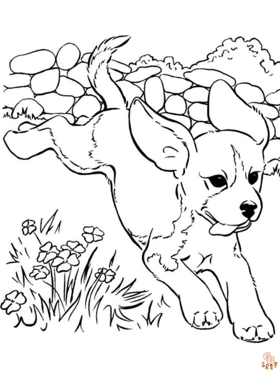 coloring page puppy