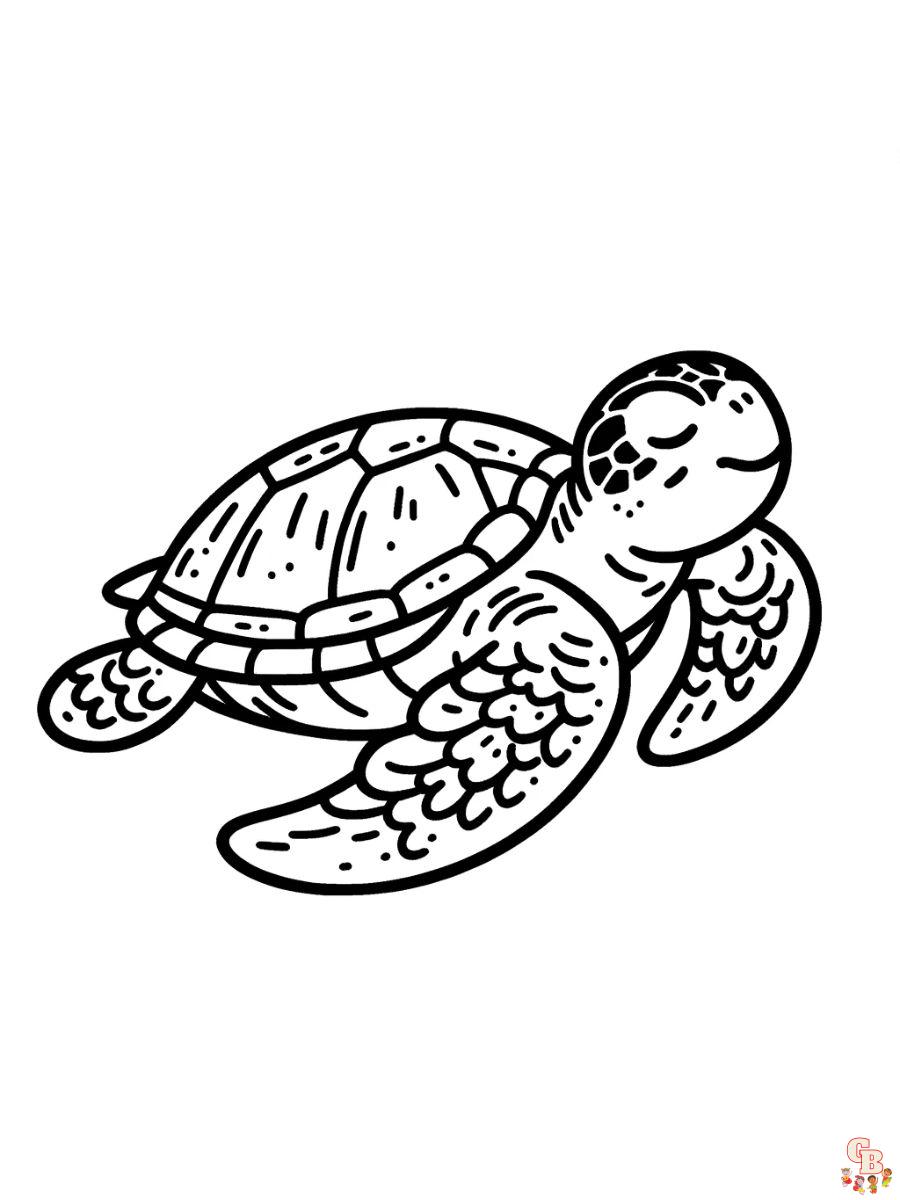 coloring page sea turtle