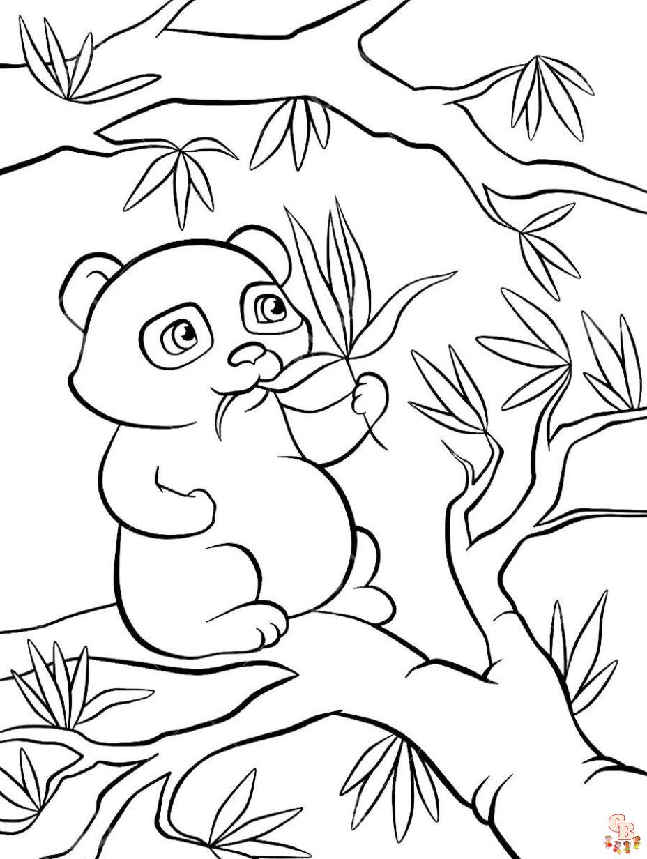 coloring pages panda bears