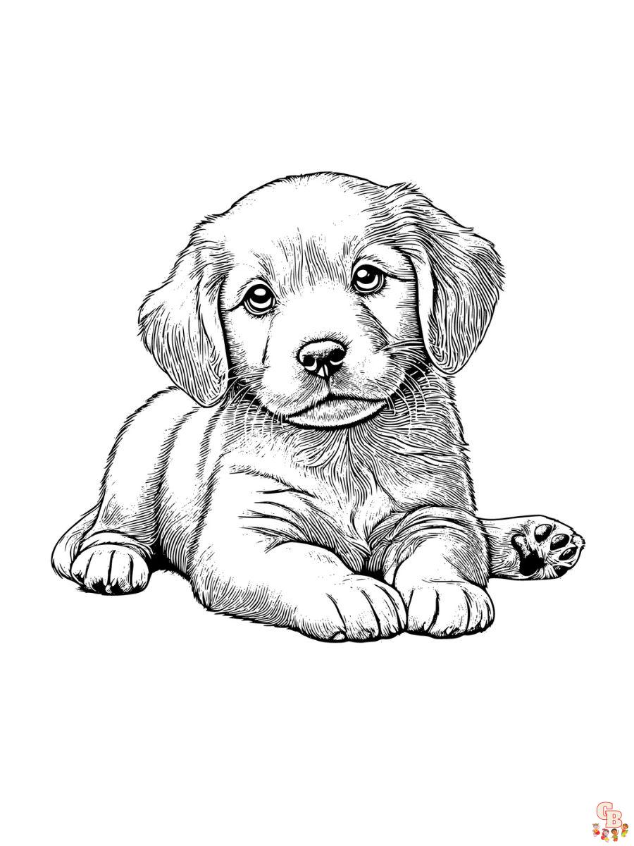 easy realistic puppy coloring pages