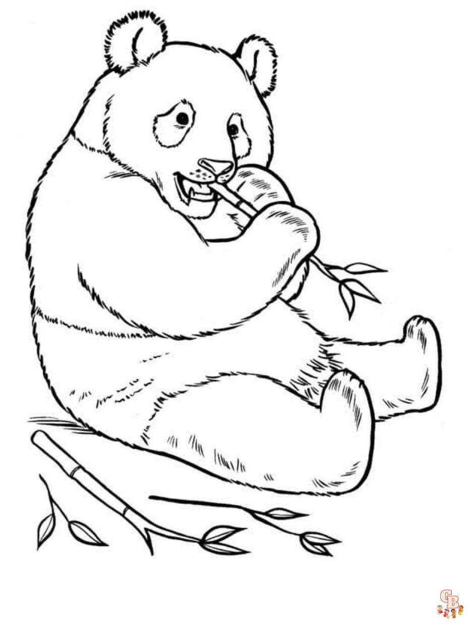 free printable combo panda coloring pages