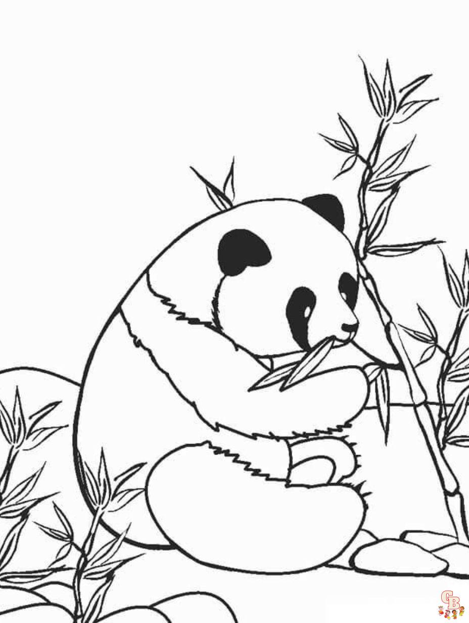 free printable panda bear coloring pages