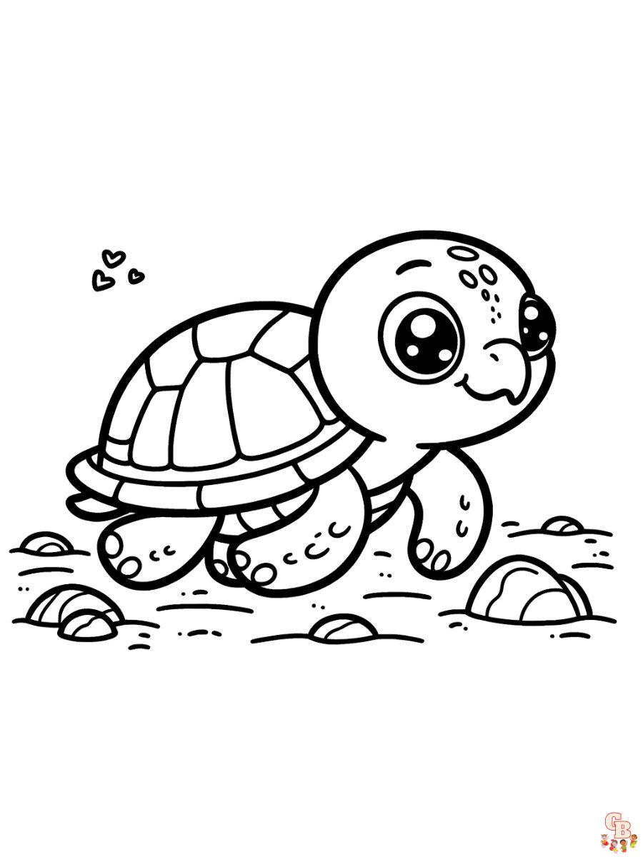 free turtle coloring page