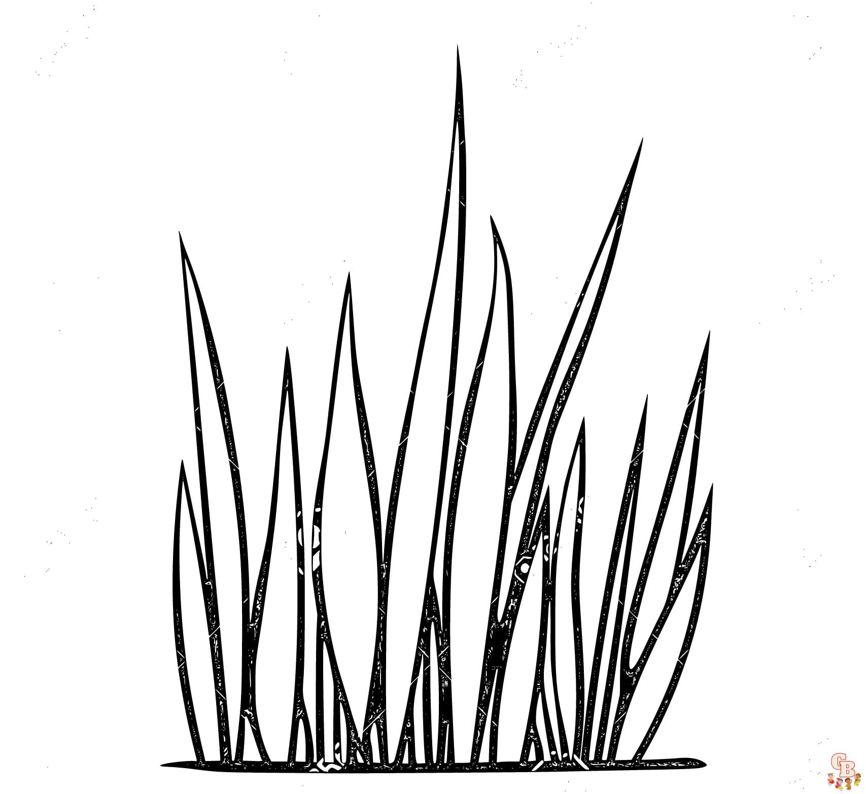 grass coloring pages free