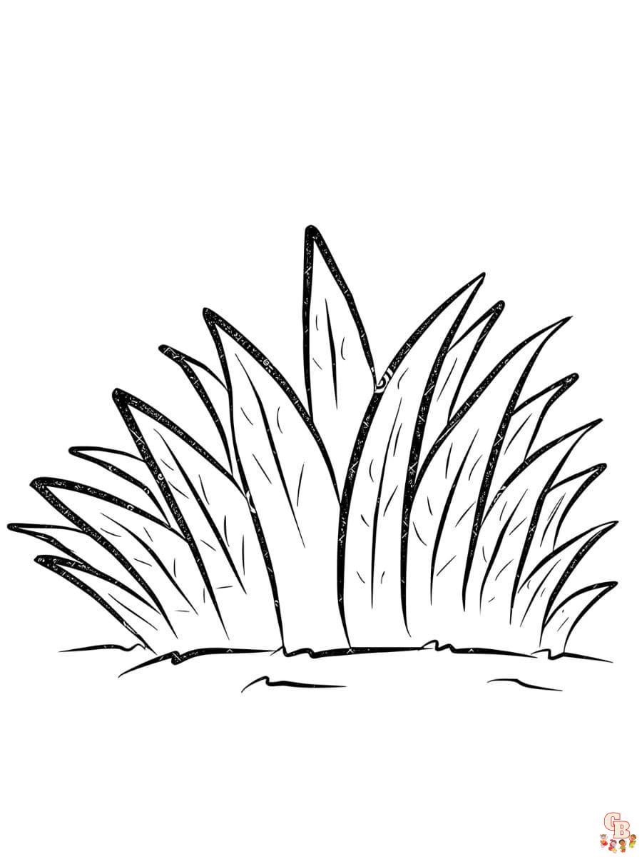 grass coloring pages