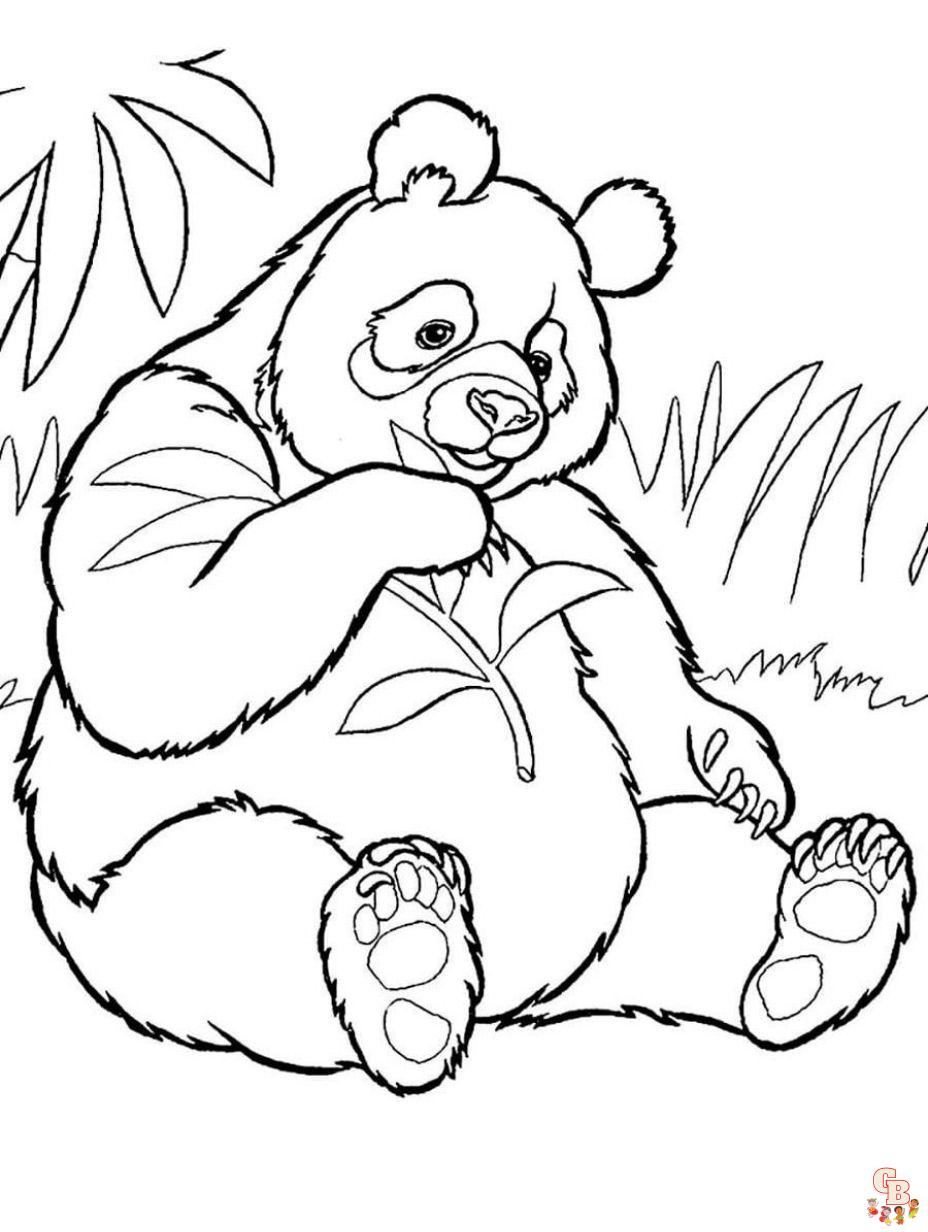 panda bear coloring pages in the tree