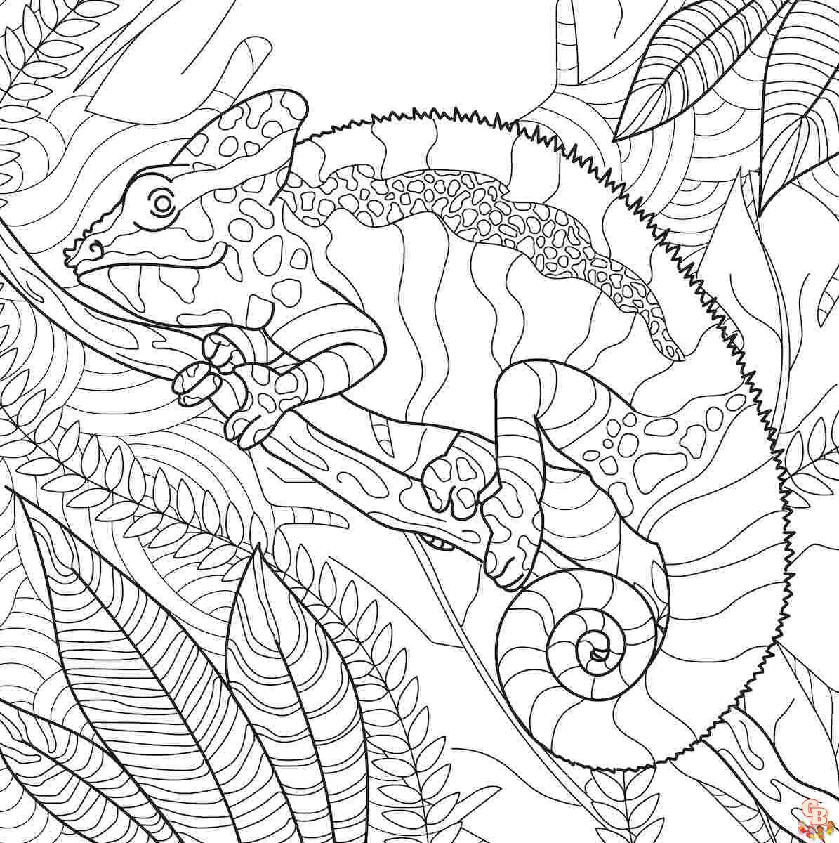 pet coloring pages