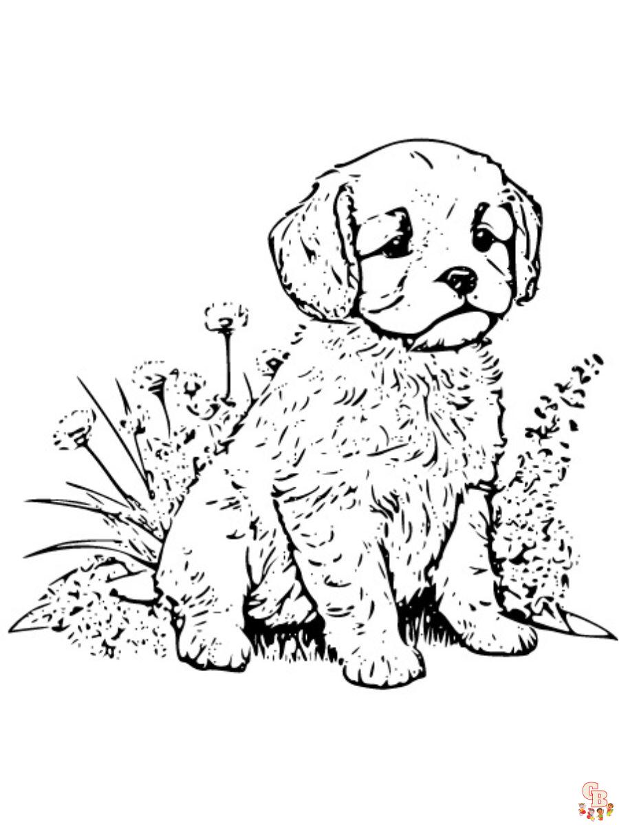 printable realistic puppy coloring pages