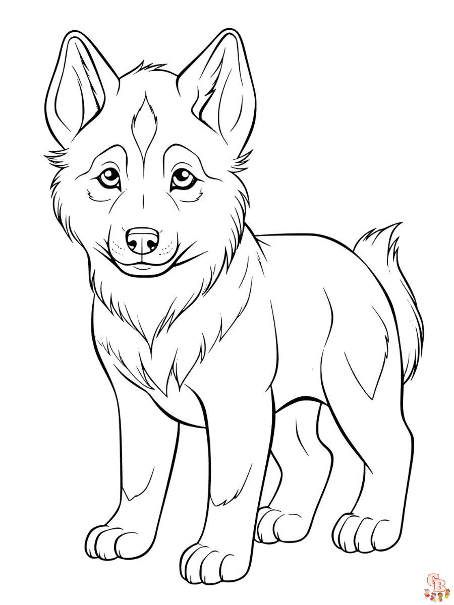 puppy husky coloring pages