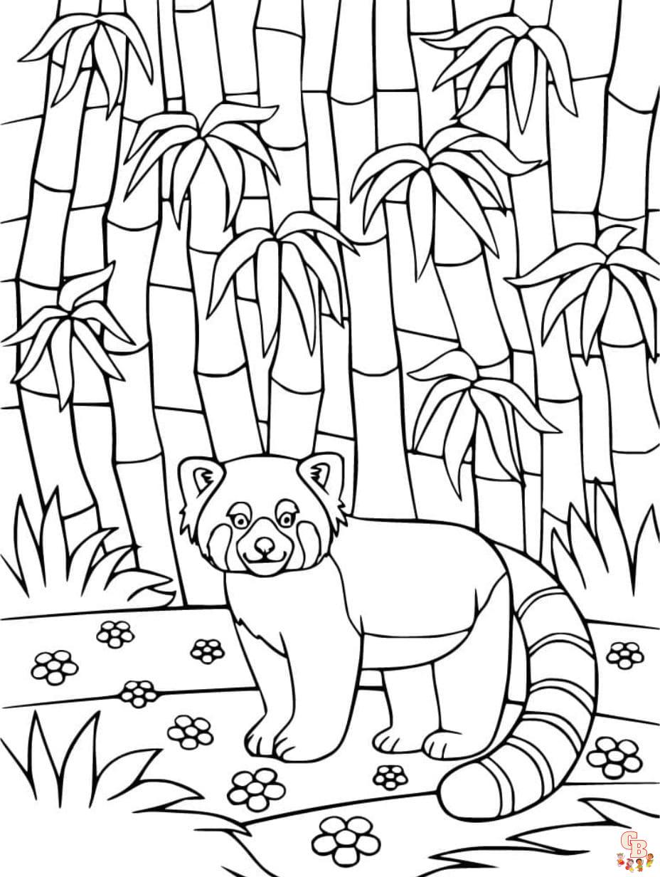 red panda coloring page