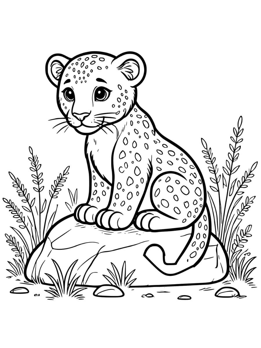 Leopard sitting on a rock with grasses coloring page