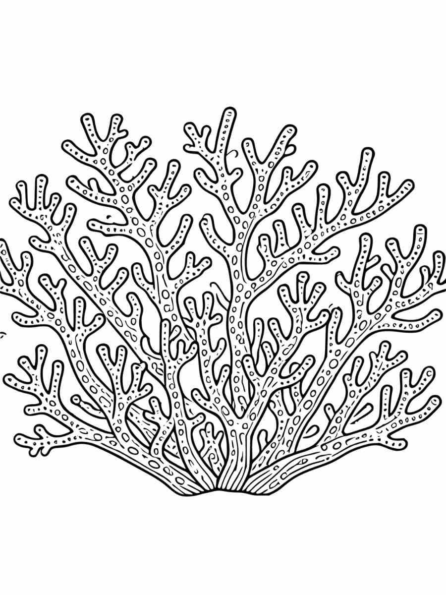 A coral with various small branches extending out coloring page