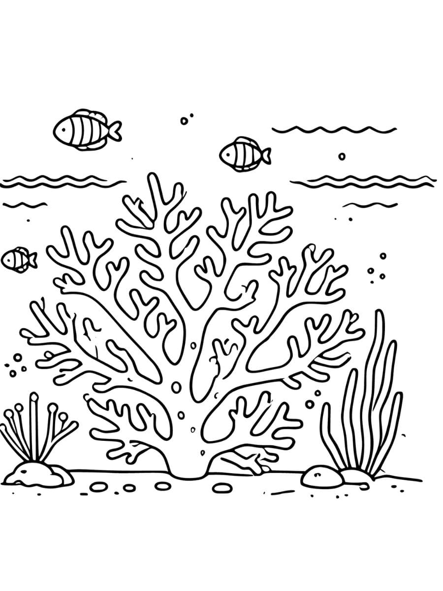 A large coral with various branches extending out coloring page