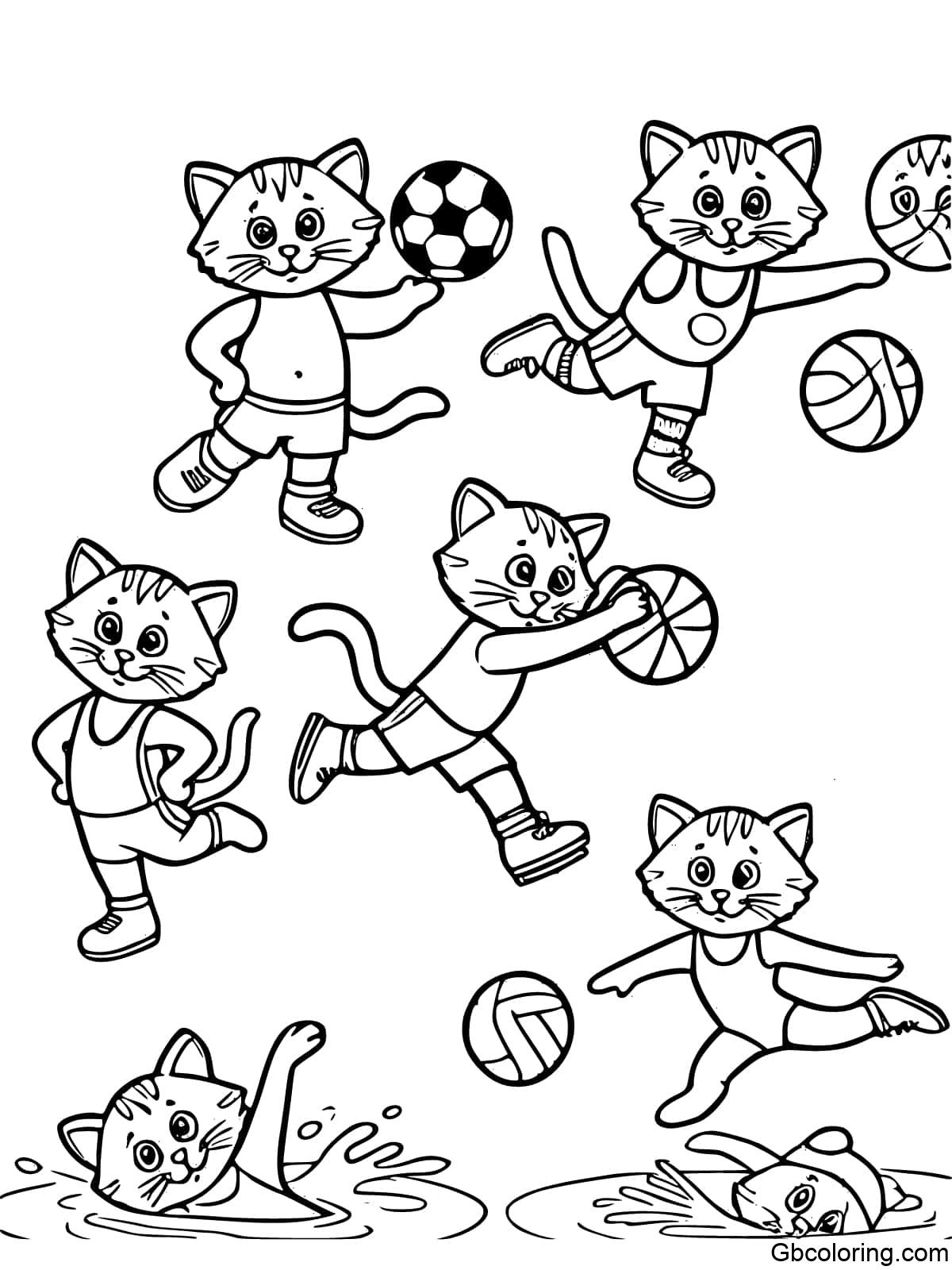 Kitties participating in soccer, basketball, and swimming