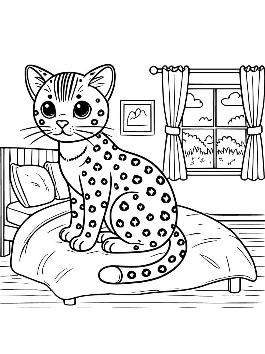 bengal cat looking out a window from a bed coloring pages