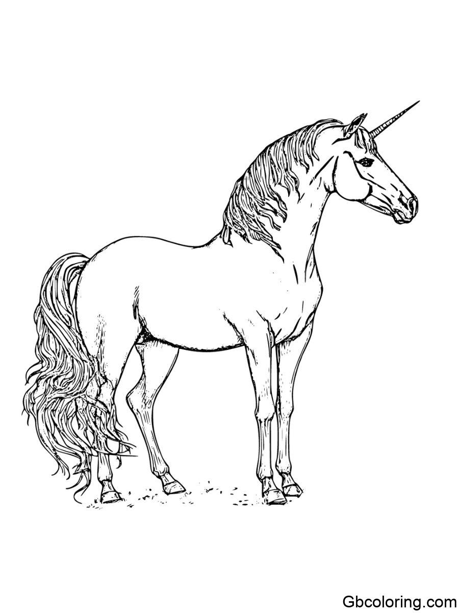 realistic unicorn standing with a flowing mane and detailed features coloring pages