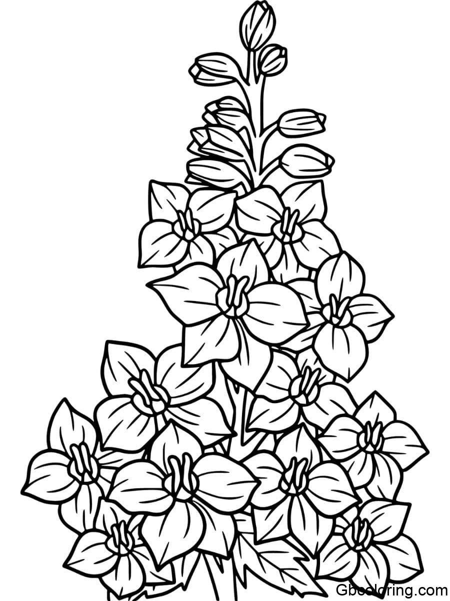 vibrant delphinium coloring pages with plain background